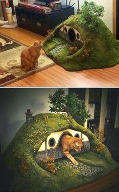 two pictures one with a cat and the other with a house made out of grass