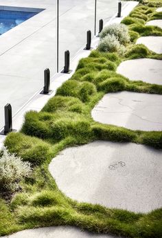 the grass is growing along the walkway by the pool