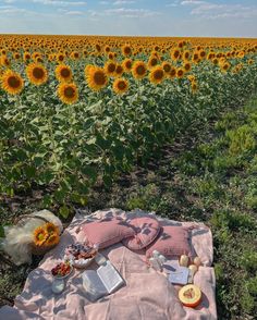 a sunflower field with a blanket and some food on it