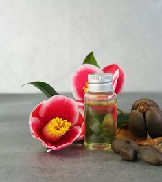 Camellia Oil For Hair: Benefits And How To Use Ayurvedic Hair Oil, Fresh Aloe Vera Gel, Aloe Vera Benefits, Magic Potions, Help Hair Grow, Coconut Benefits, Calendula Oil