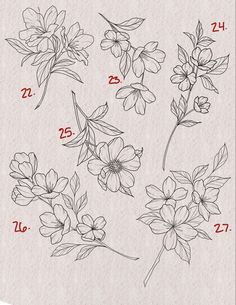 an image of flowers drawn on paper with the numbers twenty seven and twelve elevens