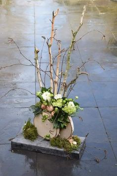 a potted plant sitting on top of a stone slab