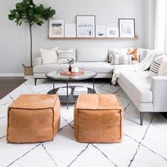 a living room filled with furniture and a potted plant