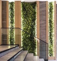 Trending house design ideas click link to visit youtube channel WALNUT ARCHITECT Walls Design, Artificial Grass Wall, Grass Wall, Lobby Interior, Contemporary Apartment