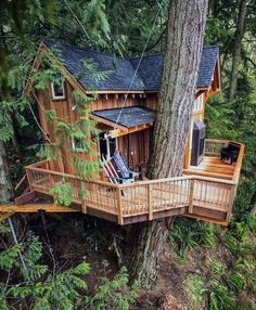 a tree house built into the side of a large tree in the middle of a forest