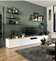 a living room filled with furniture and lots of plants on top of it's shelves