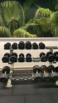 there are many dumbs on the rack in this gym room with palm trees behind them