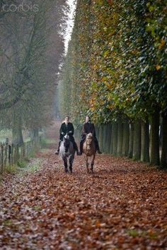 two people riding horses down a path lined with trees and leaves on either side of them