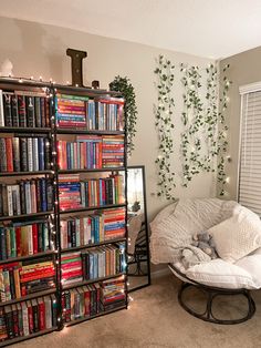 a living room filled with lots of books