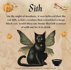 a black cat is sitting in front of a sign that says, sit on the night of