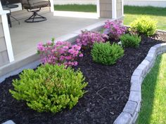 purple and green plants in front of a house