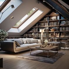 a living room filled with furniture and a skylight in the ceiling above it's bookshelf