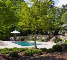 an outdoor pool surrounded by trees and shrubs, with chairs around the pool in the foreground