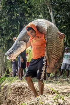 a man carrying a large fish on his back