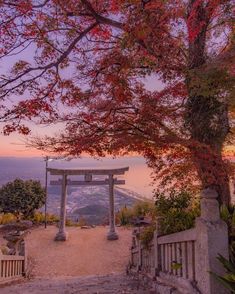 the entrance to an area with trees and flowers on it at sunset or sunrise time