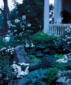 an outdoor garden with white flowers and plants in the foreground, next to a house