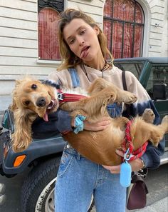 a woman holding three dogs in her arms