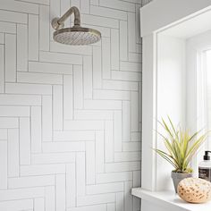 a bathroom with white tiles and a potted plant on the window sill next to it