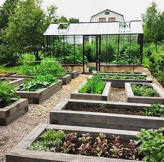 a vegetable garden with many different types of plants in the center and on the other side