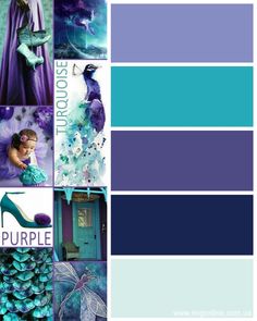 purple and teal color palettes