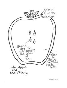 an apple labeled with the words seeds and apples in each section, which are labeled