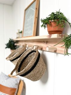 two hats are hanging on the wall next to a potted plant