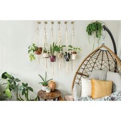 Modern S-hook plant hanger. Designed to support hanging plants, planters, and baskets. Coated with Weatherguard Protection to withstand harsh weather conditions and prevent corrosion. null - Architecture Cool, Hanging Planters Indoor, Plant Pot Holders, Macrame Plant Hangers, Room With Plants, S Hook, Flower Lights, Wall Planter, Rare Plants