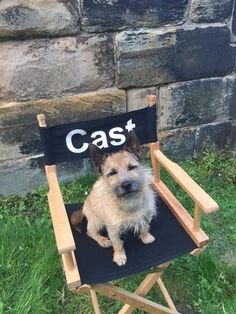 a dog sitting in a chair with the word cast on it