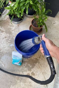 a person is spraying water into a blue bucket with plants in the backgroud