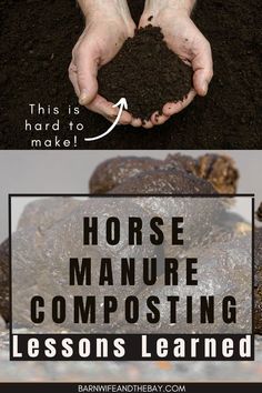 horse manure and hands holding compost. Text reads " horse manure composting. Lessons learned" Horse Manure Management, Small Horse Farm, Horse Ownership, Horse Farm Ideas, Horse Care Tips, Horse Riding Tips