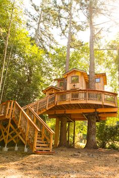 a tree house in the woods with stairs leading up to it