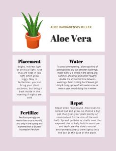 the aloe vera info sheet