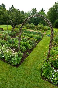 a garden with many different types of flowers and plants growing in the center, along with an arched wooden trellis