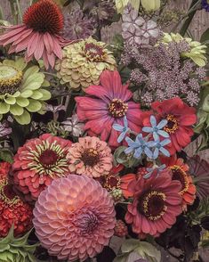 an arrangement of colorful flowers in a vase