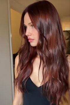 Winter Semester, Rambut Brunette, Red Hair Inspo, Brown Hair Inspo, Hair Dyes, Ginger Hair Color, Dark Red Hair, Red Brown Hair, Hair Color Auburn