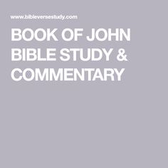 the book of john bible study and commenary by james whitlock, m d