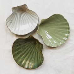 three seashells sitting on top of a white cloth covered table next to each other