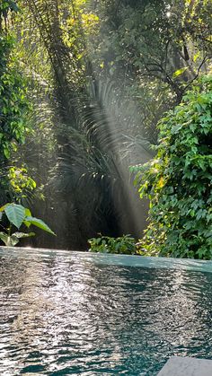 the sun shines brightly through the trees in the forest near an outdoor swimming pool