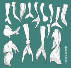 an image of different types of fish and their tails in white ink on a green background