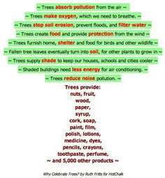 a poster with words describing the different types of trees and how they are used to describe them