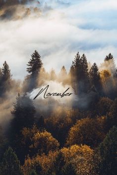 trees and clouds with the word november written on it in front of some foggy mountains