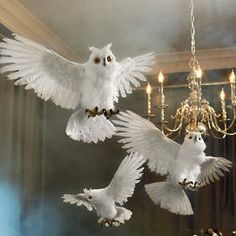 three white birds flying in the air with chandelier and lights behind them,