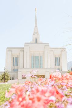 the flowers are blooming in front of the large white building with a steeple