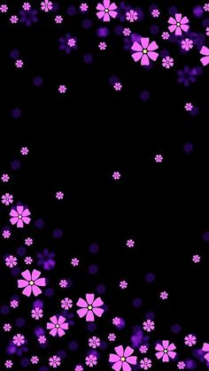 purple flowers on a black background with space for text or image to be added in the bottom right corner