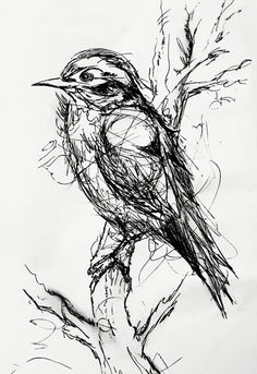 a black and white drawing of a bird on a branch