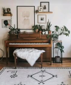 a piano in a living room with plants on the wall and rugs around it