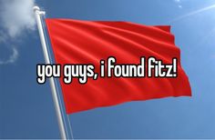 a red flag with the words you guys, i found fizz