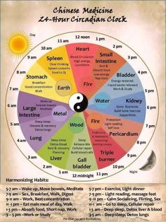 Meridian Clock, Chinese Body Clock, Energy Movement, Chi Energy, Eastern Medicine, Body Clock, Reiki Symbols, Energy Medicine, Qi Gong