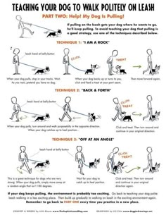 an instruction poster showing how to teach your dog to walk on leashes, with instructions for