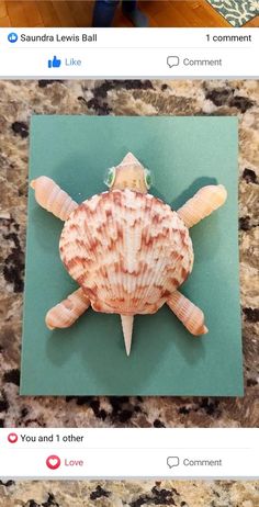 an image of a sea turtle made out of seashells on the phone screen